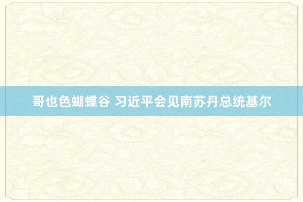 哥也色蝴蝶谷 习近平会见南苏丹总统基尔