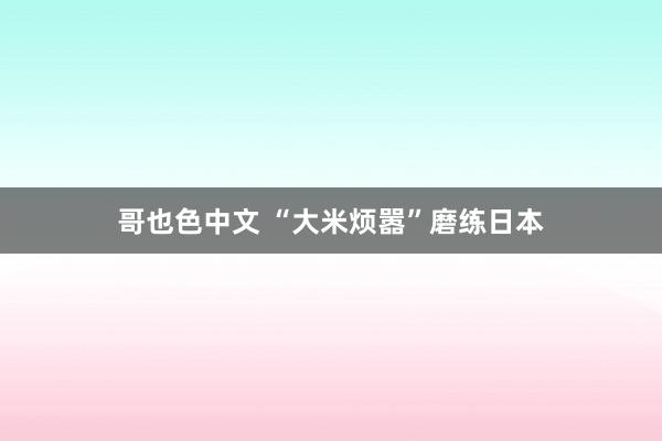 哥也色中文 “大米烦嚣”磨练日本