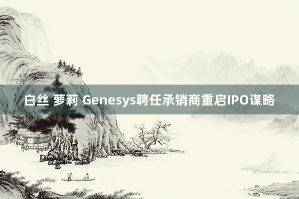 白丝 萝莉 Genesys聘任承销商重启IPO谋略