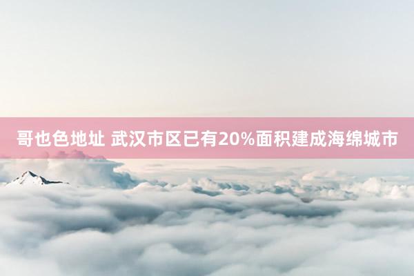 哥也色地址 武汉市区已有20%面积建成海绵城市