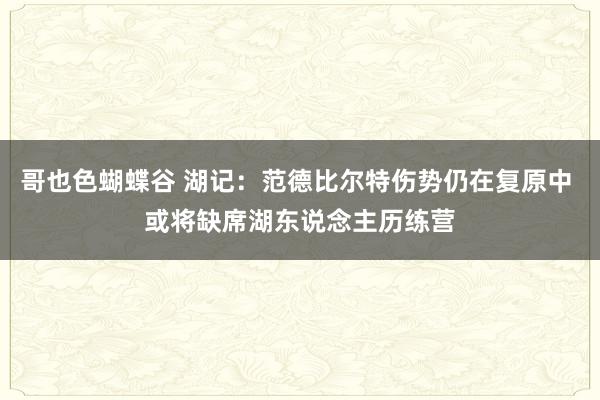 哥也色蝴蝶谷 湖记：范德比尔特伤势仍在复原中 或将缺席湖东说念主历练营