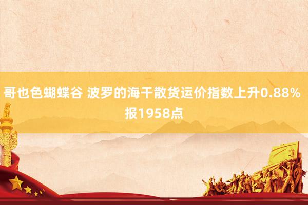 哥也色蝴蝶谷 波罗的海干散货运价指数上升0.88% 报1958点