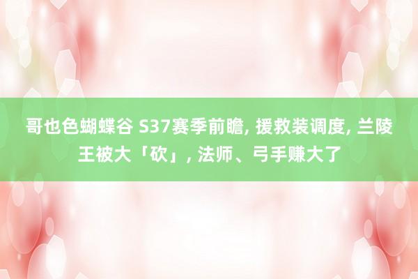 哥也色蝴蝶谷 S37赛季前瞻， 援救装调度， 兰陵王被大「砍」， 法师、弓手赚大了