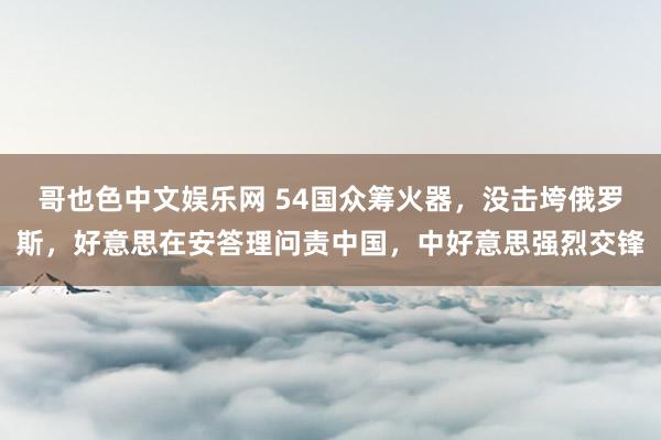 哥也色中文娱乐网 54国众筹火器，没击垮俄罗斯，好意思在安答理问责中国，中好意思强烈交锋