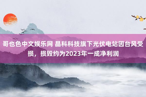 哥也色中文娱乐网 晶科科技旗下光伏电站因台风受损，损毁约为2023年一成净利润