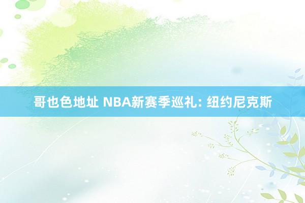 哥也色地址 NBA新赛季巡礼: 纽约尼克斯