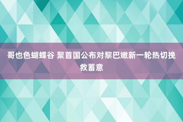 哥也色蝴蝶谷 聚首国公布对黎巴嫩新一轮热切挽救蓄意