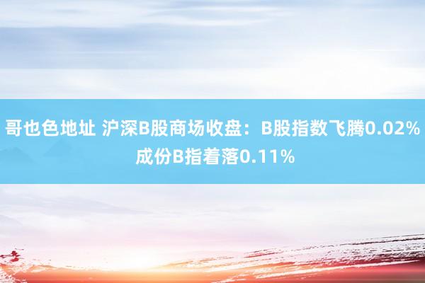 哥也色地址 沪深B股商场收盘：B股指数飞腾0.02% 成份B指着落0.11%