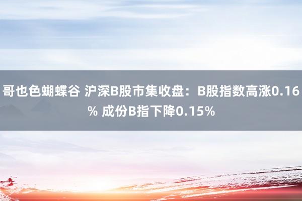 哥也色蝴蝶谷 沪深B股市集收盘：B股指数高涨0.16% 成份B指下降0.15%