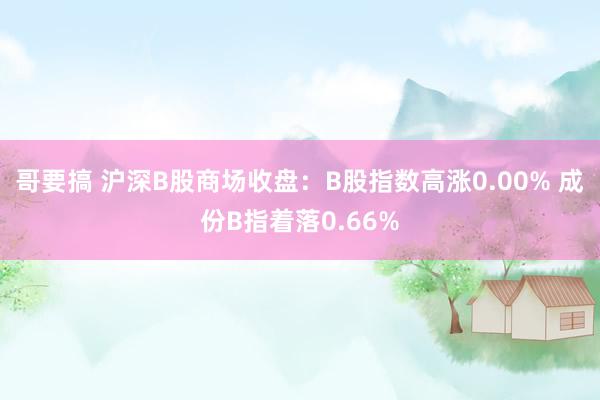 哥要搞 沪深B股商场收盘：B股指数高涨0.00% 成份B指着落0.66%