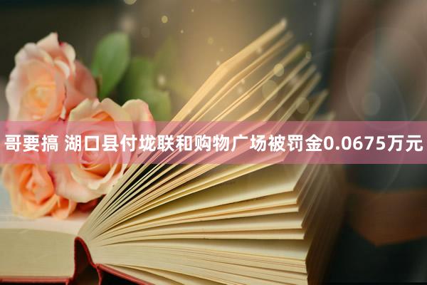 哥要搞 湖口县付垅联和购物广场被罚金0.0675万元