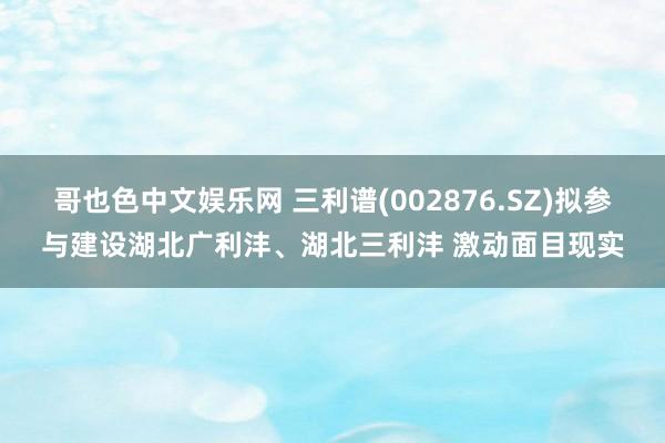 哥也色中文娱乐网 三利谱(002876.SZ)拟参与建设湖北广利沣、湖北三利沣 激动面目现实