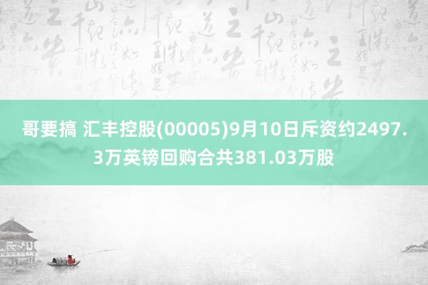 哥要搞 汇丰控股(00005)9月10日斥资约2497.3万英镑回购合共381.03万股