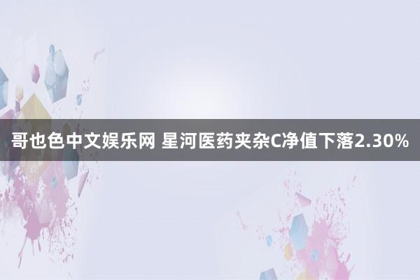 哥也色中文娱乐网 星河医药夹杂C净值下落2.30%