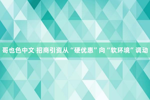 哥也色中文 招商引资从“硬优惠”向“软环境”调动