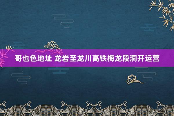 哥也色地址 龙岩至龙川高铁梅龙段洞开运营