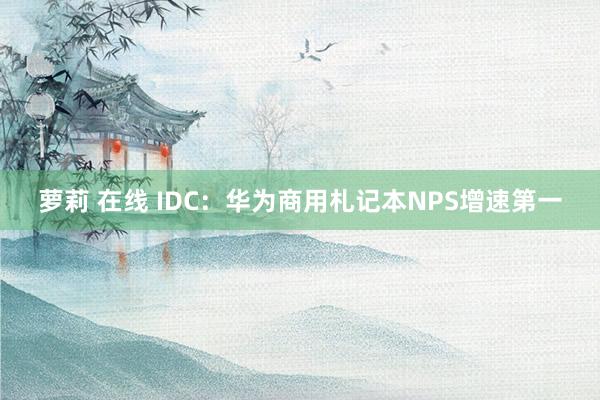 萝莉 在线 IDC：华为商用札记本NPS增速第一