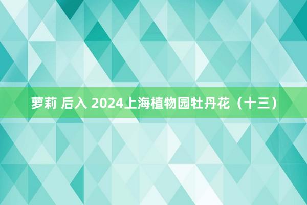 萝莉 后入 2024上海植物园牡丹花（十三）