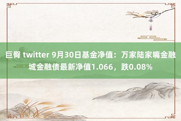 巨臀 twitter 9月30日基金净值：万家陆家嘴金融城金融债最新净值1.066，跌0.08%