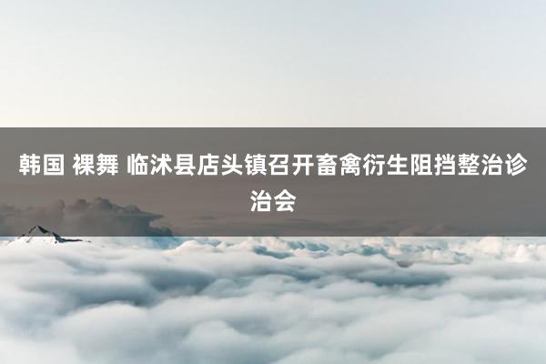 韩国 裸舞 临沭县店头镇召开畜禽衍生阻挡整治诊治会