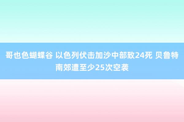 哥也色蝴蝶谷 以色列伏击加沙中部致24死 贝鲁特南郊遭至少25次空袭