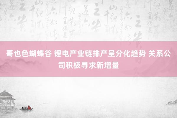 哥也色蝴蝶谷 锂电产业链排产呈分化趋势 关系公司积极寻求新增量