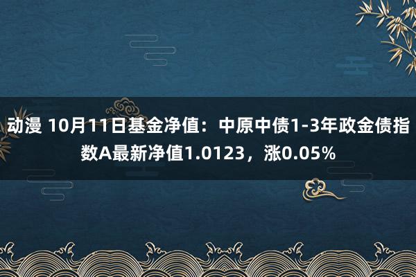 动漫 10月11日基金净值：中原中债1-3年政金债指数A最新净值1.0123，涨0.05%