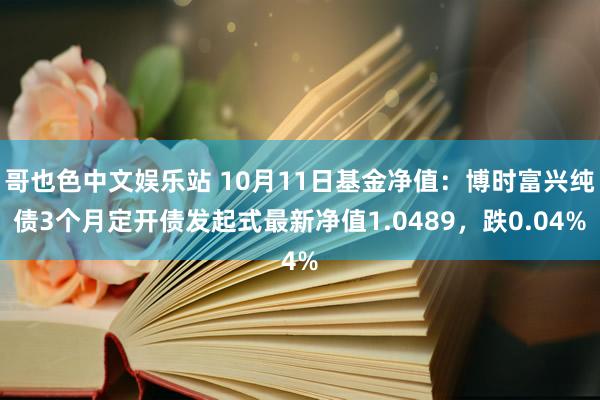 哥也色中文娱乐站 10月11日基金净值：博时富兴纯债3个月定开债发起式最新净值1.0489，跌0.04%