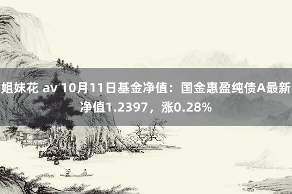 姐妹花 av 10月11日基金净值：国金惠盈纯债A最新净值1.2397，涨0.28%