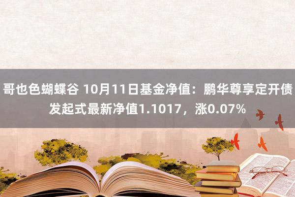 哥也色蝴蝶谷 10月11日基金净值：鹏华尊享定开债发起式最新净值1.1017，涨0.07%