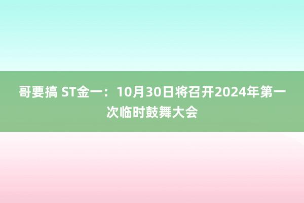 哥要搞 ST金一：10月30日将召开2024年第一次临时鼓舞大会