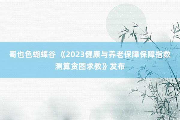 哥也色蝴蝶谷 《2023健康与养老保障保障指数测算贪图求教》发布