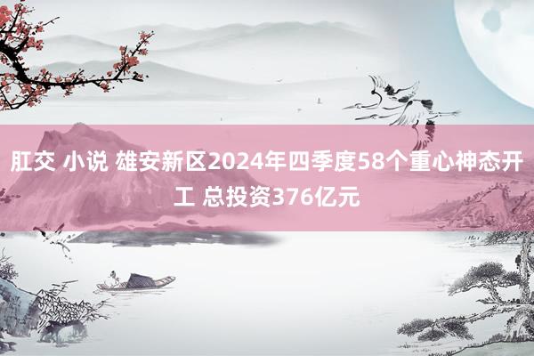 肛交 小说 雄安新区2024年四季度58个重心神态开工 总投资376亿元