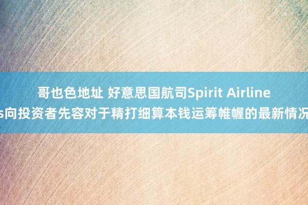 哥也色地址 好意思国航司Spirit Airlines向投资者先容对于精打细算本钱运筹帷幄的最新情况