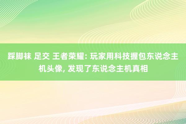 踩脚袜 足交 王者荣耀: 玩家用科技握包东说念主机头像， 发现了东说念主机真相