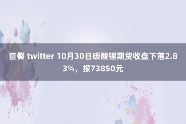 巨臀 twitter 10月30日碳酸锂期货收盘下落2.83%，报73850元