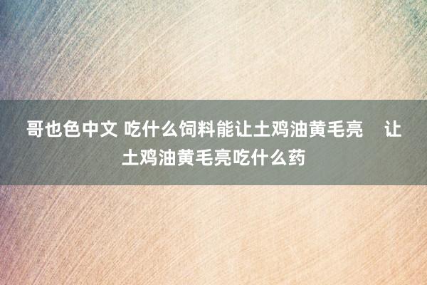 哥也色中文 吃什么饲料能让土鸡油黄毛亮    让土鸡油黄毛亮吃什么药