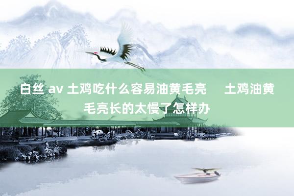 白丝 av 土鸡吃什么容易油黄毛亮     土鸡油黄毛亮长的太慢了怎样办