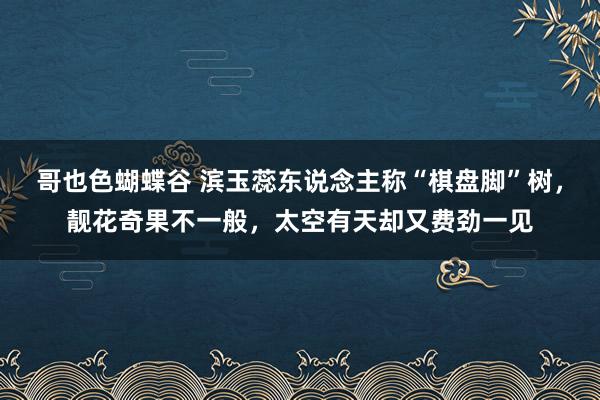 哥也色蝴蝶谷 滨玉蕊东说念主称“棋盘脚”树，靓花奇果不一般，太空有天却又费劲一见