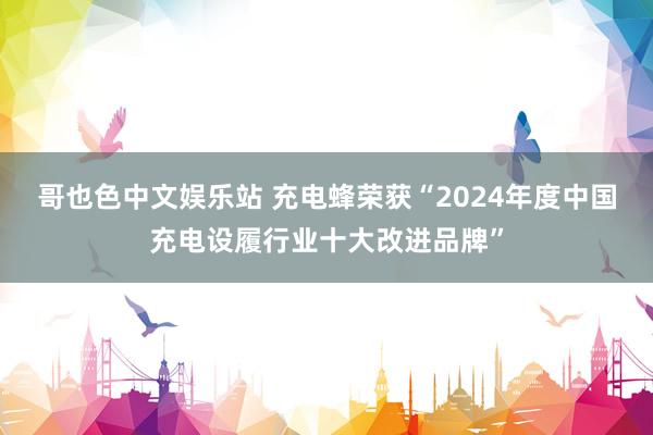 哥也色中文娱乐站 充电蜂荣获“2024年度中国充电设履行业十大改进品牌”