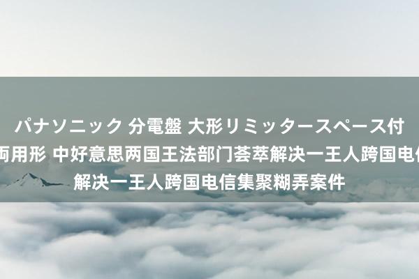 パナソニック 分電盤 大形リミッタースペース付 露出・半埋込両用形 中好意思两国王法部门荟萃解决一王人跨国电信集聚糊弄案件