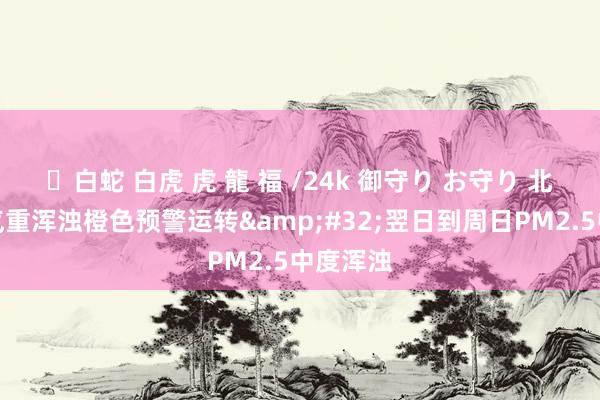 ✨白蛇 白虎 虎 龍 福 /24k 御守り お守り 北京：空气重浑浊橙色预警运转&#32;翌日到周日PM2.5中度浑浊