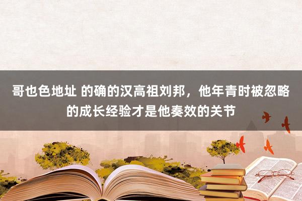 哥也色地址 的确的汉高祖刘邦，他年青时被忽略的成长经验才是他奏效的关节