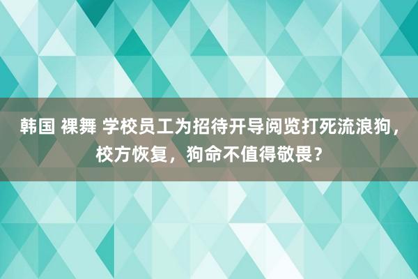 韩国 裸舞 学校员工为招待开导阅览打死流浪狗，校方恢复，狗命不值得敬畏？