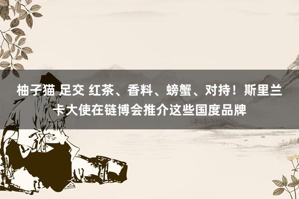 柚子猫 足交 红茶、香料、螃蟹、对持！斯里兰卡大使在链博会推介这些国度品牌