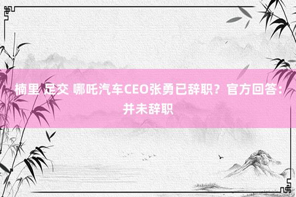 楠里 足交 哪吒汽车CEO张勇已辞职？官方回答：并未辞职