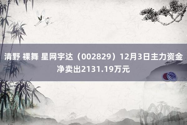 清野 裸舞 星网宇达（002829）12月3日主力资金净卖出2131.19万元