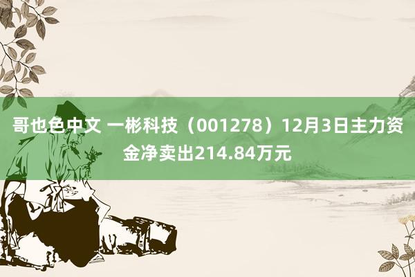 哥也色中文 一彬科技（001278）12月3日主力资金净卖出214.84万元