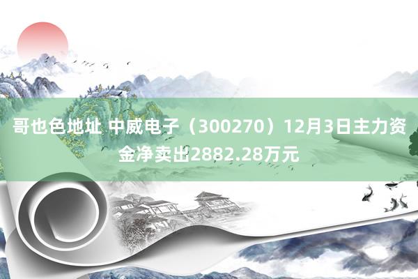 哥也色地址 中威电子（300270）12月3日主力资金净卖出2882.28万元