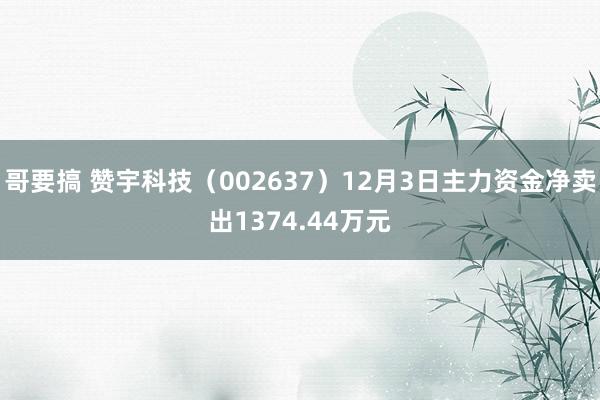 哥要搞 赞宇科技（002637）12月3日主力资金净卖出1374.44万元